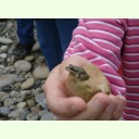 003 b53144099ba0f0e9032