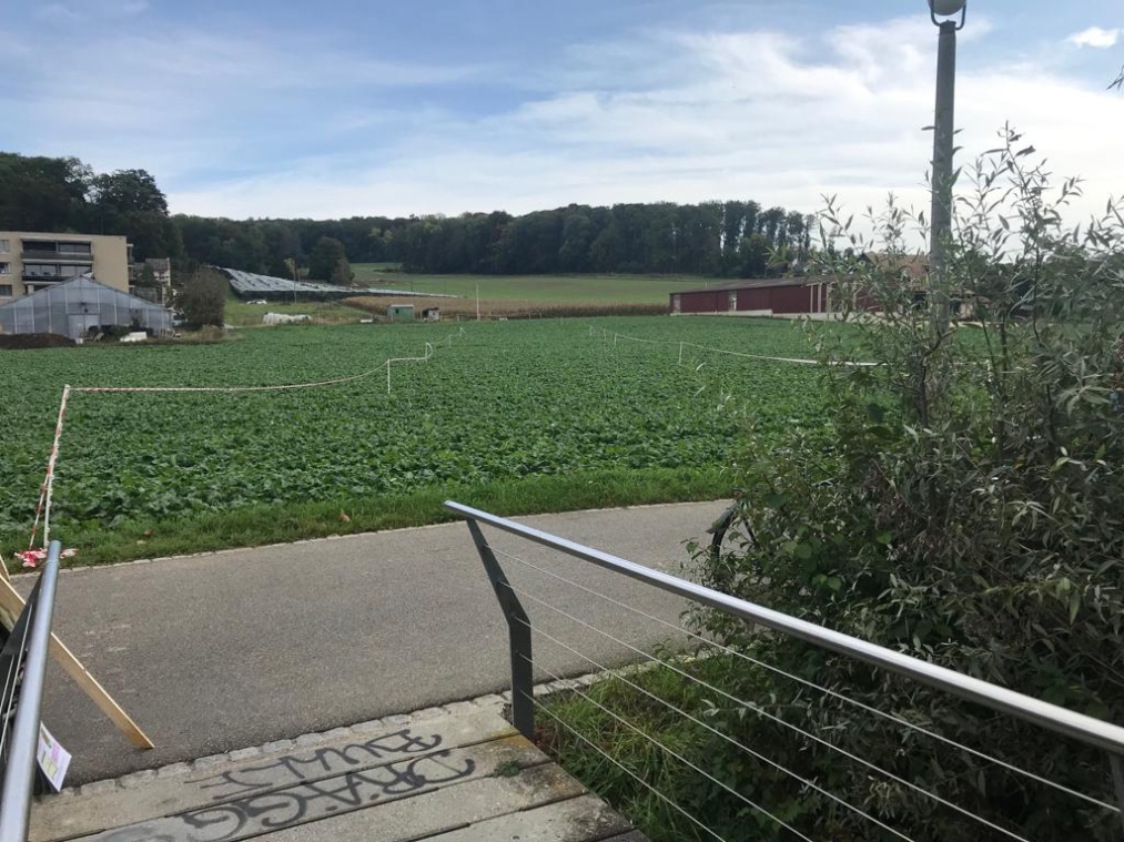 2019Feldmarkierung Strasse