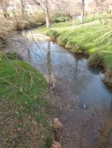 Marbach beim Hueslimattschulhaus