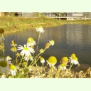 b531440999c0eaa51611